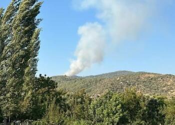 İzmir ve Muğla’da orman yangınları