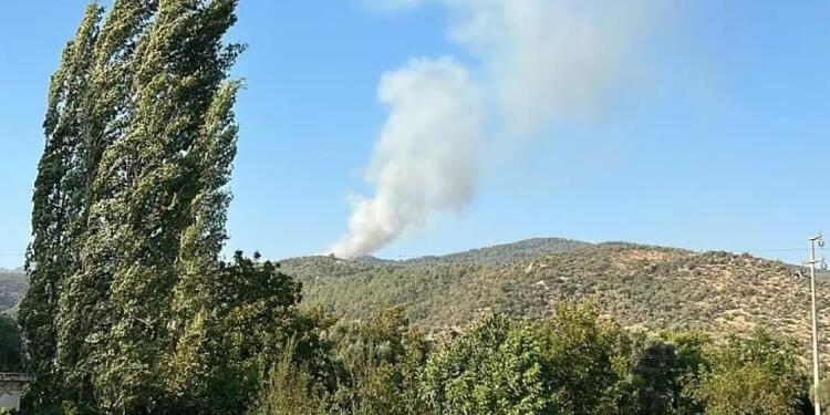 İzmir ve Muğla’da orman yangınları