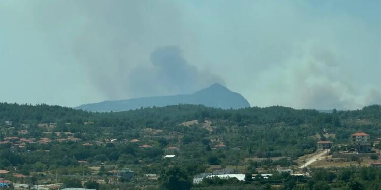 İzmir ve Muğla’da orman yangını
