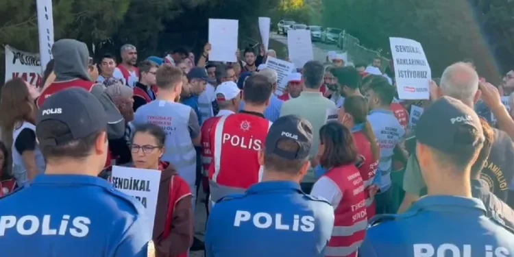 Polonez işçilerine saldırı ve tehdit