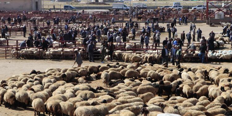 Wan’da besiciler zararda: İktidar değişmeden çözüm olmaz