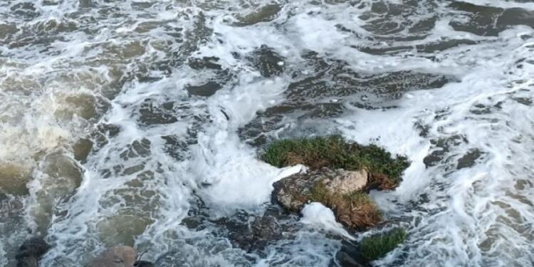Dicle Nehri’nde kirlilik uyarısı
