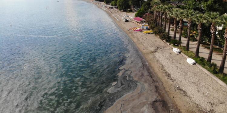 Denizler atık çukuruna dönüştü