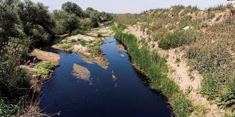 Biyogaz tesisi Gediz’i zehirliyor