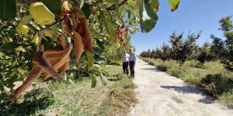 Kuyulardan tuzlu su çıkıyor