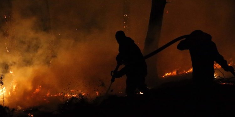 Muğla’da yangın elektrik hattından kaynaklı