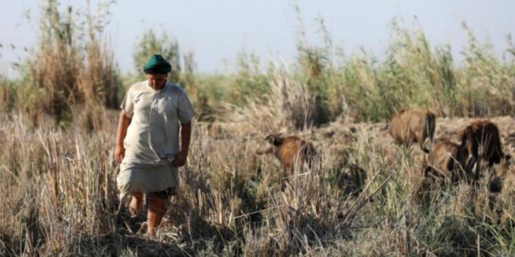 Irak’ta yağma GES’lerle sürüyor