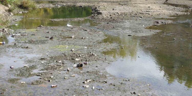 Tunca Nehri dip seviyede