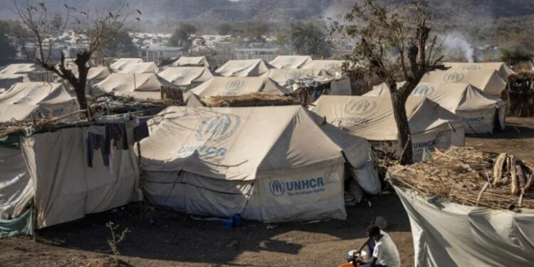 Sudanlı mülteciler öldürülüyor, zorla çalıştırılıyor