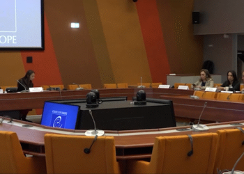 Hatimoğulları AKPM toplantısında İmralı tecridini eleştirdi