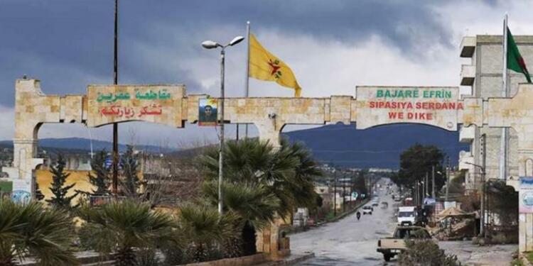 Efrîn’de son 6 yıl: 463 kişi katledildi, 5 bin zeytin ağacı yakıldı