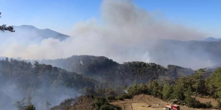 Menteşe’de orman  4 gündür yanıyor