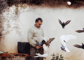 ‘Öcalan’ın sağlık ve güvenlik koşulları oluşturulmalı’