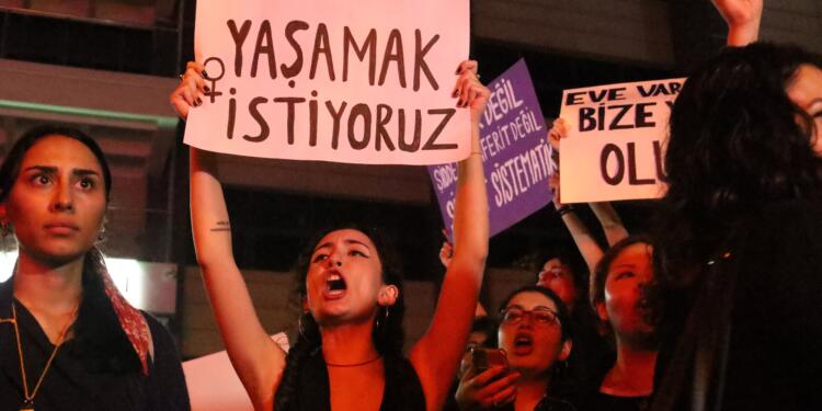 ‘Erkek vuruyor devlet koruyor’