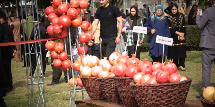 Halepçe Nar ve Sonbahar Festivali başladı