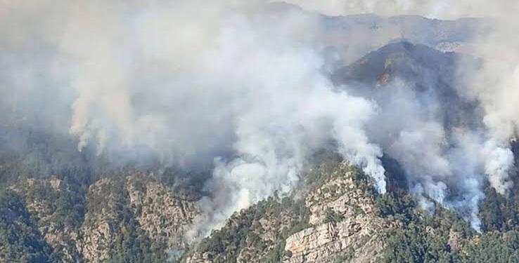 Denizli 6 gündür yanıyor: Müdahale yetersiz