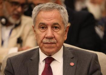 Arınç’tan Öcalan açıklaması: Çağrı yapsın diyorsanız, bunun içini doldurmalısınız