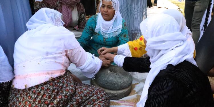 Cizîr’de danûk dökme etkinliği