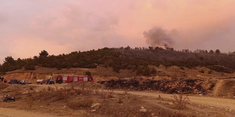 Uşak’taki yangın söndürüldü: 20 hektarlık alan zarar gördü