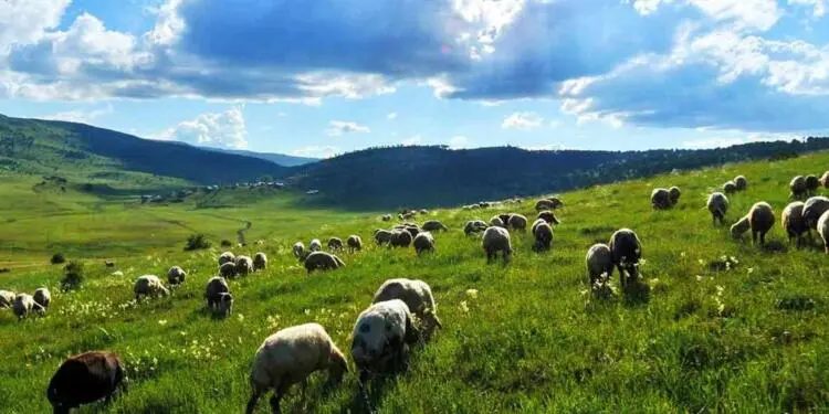 Limak bu kez Haymana’da