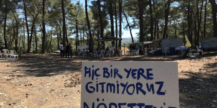 Kaz Dağlarında yurttaşlar:  ‘Ölmek var dönmek yok’