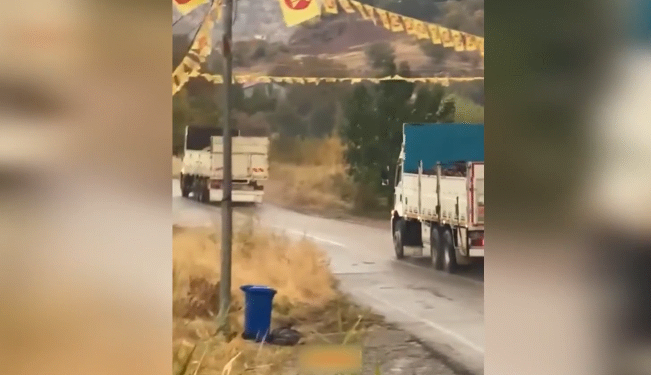 Duhok’ta ağaç kıyımı: Kamyonlarla taşıyorlar