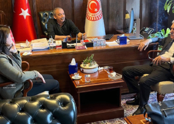 Ahmet Türk: Bahçeli ile görüşeceğim iddiası doğru değil