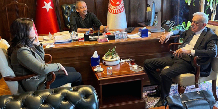 Ahmet Türk: Bahçeli ile görüşeceğim iddiası doğru değil