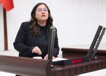 Meclis’te ‘Tu kî yî’ rahatsızlığı