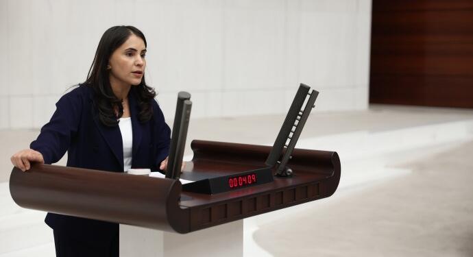 AKP’li vekil ‘Kürtçe konuşabilirsiniz’ dedi, Kürtçe tutanaklara (…) şeklinde geçti