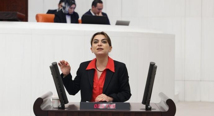 Koçyiğit: Bu hafta Meclis çalışmalarına katılmayacağız