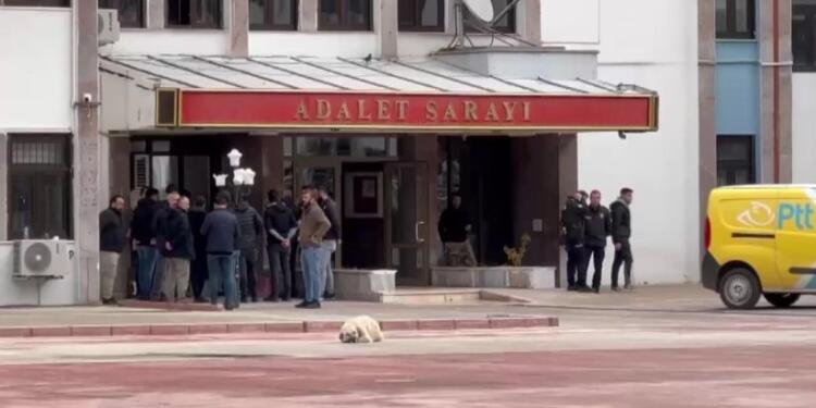 Dêrsim’de 4 kişi tutuklandı