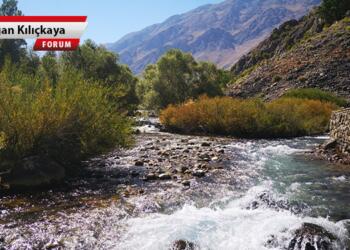 Kayyım bahane, talan şahane