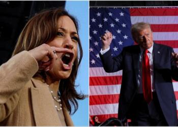 John Bolton: Trump kaybederse sonuçları kabul etmeyebilir