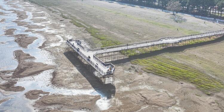 İznik Gölü’de yok oluşa sürükleniyor