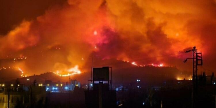 Arsuz’daki orman yangını kontrol altına alındı