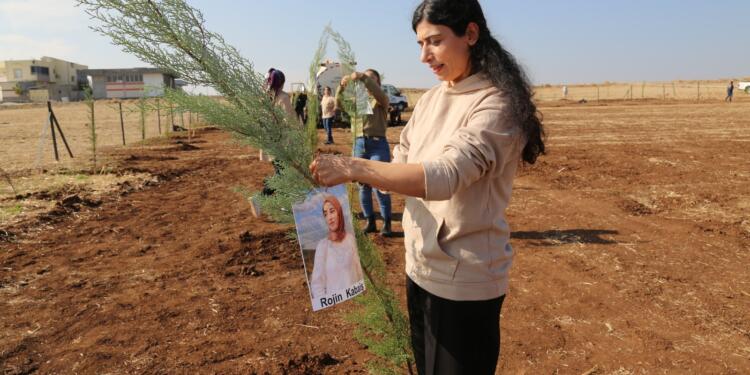 Narin Güran Parkı’na fidan dikildi