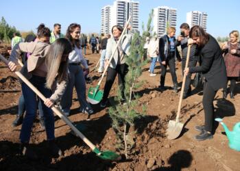 Amed’de katledilen kadınlar için fidan dikildi