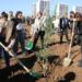 Amed’de katledilen kadınlar için fidan dikildi