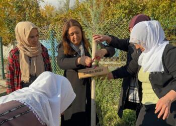 25 Kasım eylemleri: Şiddeti birlikte durduracağız