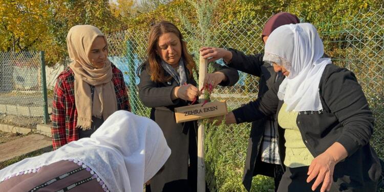 25 Kasım eylemleri: Şiddeti birlikte durduracağız