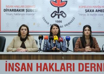 İHD Amed Şubesi: Kürdistan’da 1 yılda 114 kadın katledildi