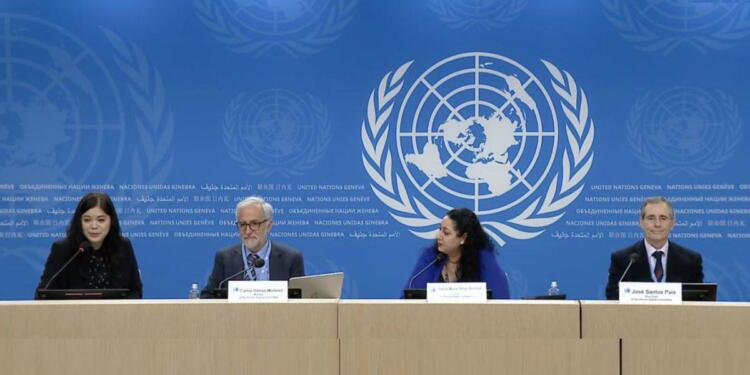 BM Komitesi: Türkiye ‘Terörizm’in yasal tanımını netleştirilmeli