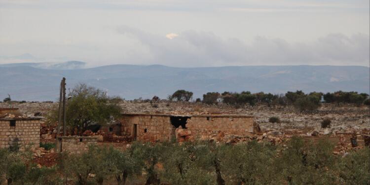 7 yıldır zeytin hasadı yapamıyorlar