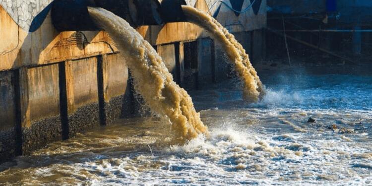 Ergene Nehri’ne salınan atık sular arıtılmıyor