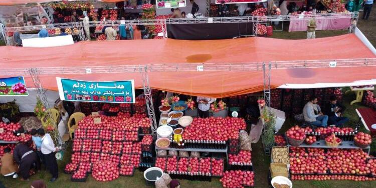 Halepçe Nar ve Sonbahar Festivali’ni 300 bin kişi ziyaret etti