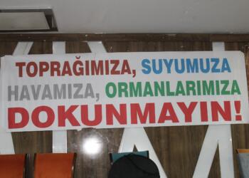 Dêrsimliler ekolojik talana karşı buluştu