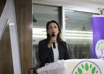 Hatimoğulları: İmralı kapıları açılmalı Abdullah Öcalan konuşmalı