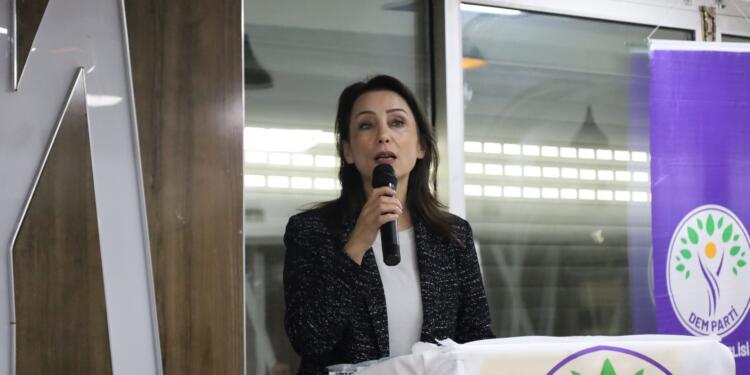 Hatimoğulları: İmralı kapıları açılmalı Abdullah Öcalan konuşmalı