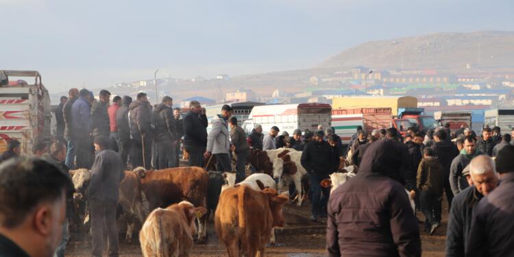 Qers’te hayvancılık can çekişiyor